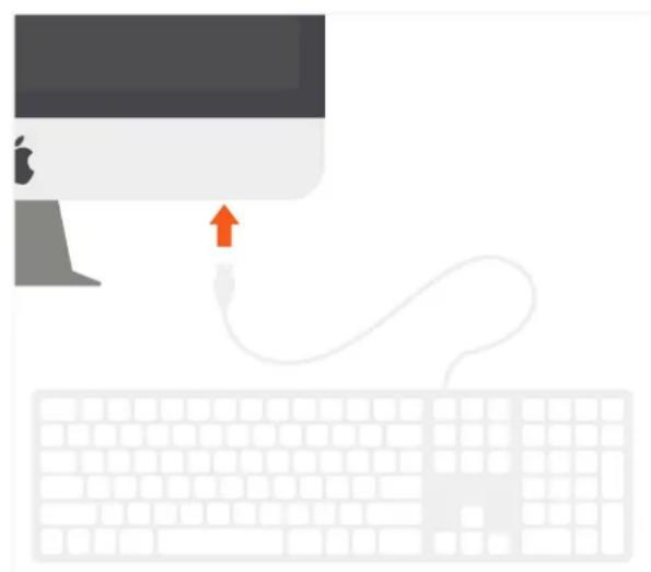 Satechi ST-AMWKM - WIRED KEYBOARD - 1