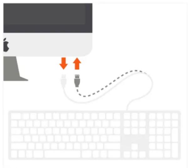 Satechi ST-AMWKM - WIRED KEYBOARD - 4