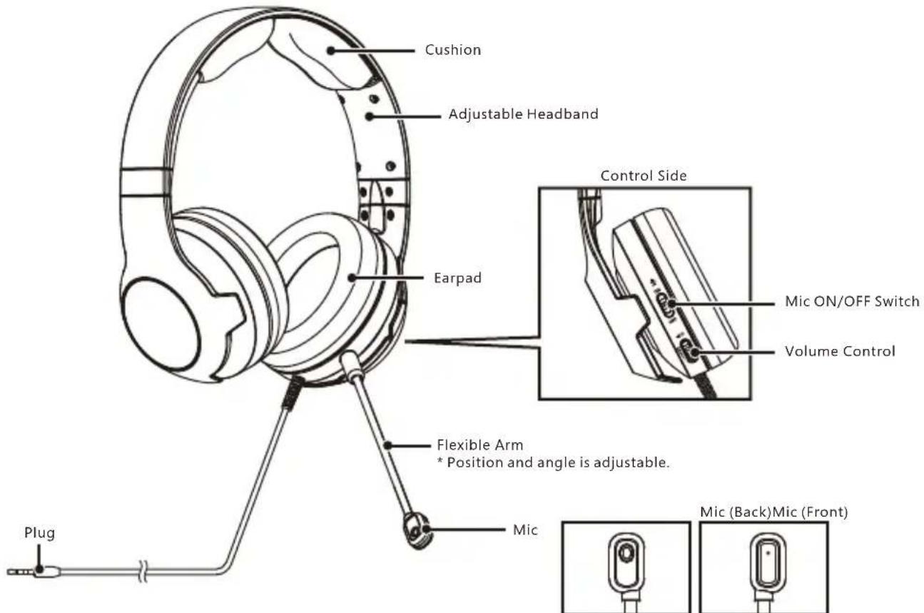 Hori Pro - Layout - 1