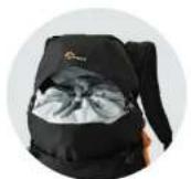 Lowepro Photo Sport 300 AW II - Photo Sport BP 200 AW II - 7