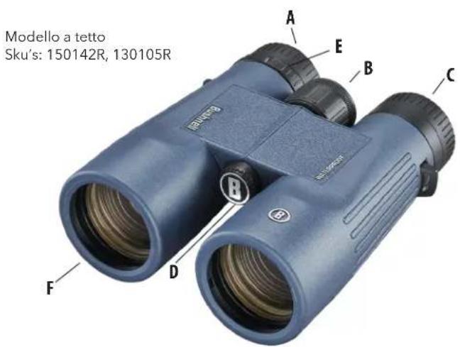 Modello a tetto Sku's: 150142R, 130105R