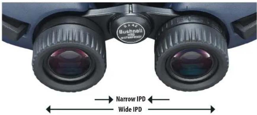 Bushnali H20 WATMAP307 → Narrow IPD ← Wide IPD ←