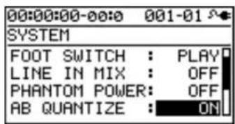 00:00:00-00:0 001-01 SYSTEM FOOT SWITCH : PLAY LINE IN MIX : OFF PHANTOM POWER: OFF AB QUANTIZE : ON