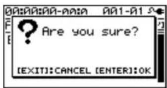 ARE you sure? [EXIT]:CANCEL [ENTER]:OK