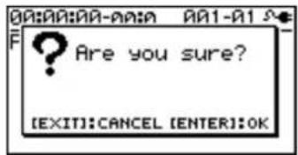 F Are you sure? [EXIT]:CANCEL [ENTER]:OK