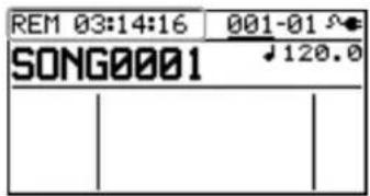 REM 03:14:16 001-01 SONG0001 ↓120.0