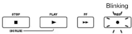STOP PLAY FF Blinking [SCRUB] [RECK]