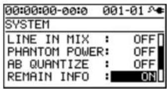 00:00:00-00:0 001-01 SYSTEM LINE IN MIX : OFF PHANTOM POWER: OFF AB QUANTIZE : OFF REMAIN INFO : ON