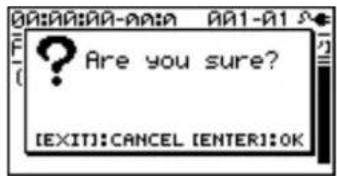 Are you sure? [EXIT]:CANCEL [ENTER]:OK