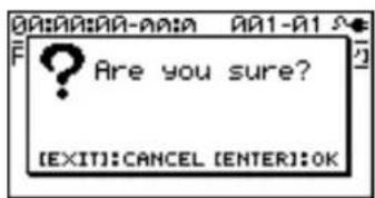 A? Are you sure? [EXIT]:CANCEL [ENTER]:OK