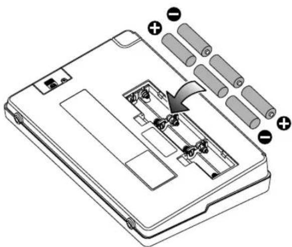 Diagram of a device rear panel with labeled components and battery arrangement, showing internal components and polarity indicators.
