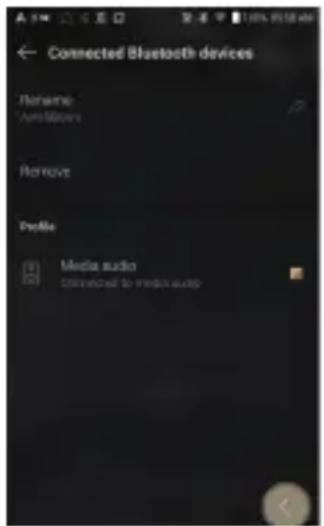 Astell&Kern KANN Alpha - Removing a Bluetooth Pairing - 1