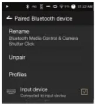 Astell&Kern AK380 - Removing a Bluetooth Pairing - 1