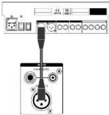BEHRINGER Truth B1031A - HAFTUNGSAUSSCHLUSS - 4