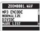 ZOOM H2next - Checking track marks WAV fi les only - 4