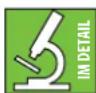 MACKIE DLM12S - Wie Sie dieses Handbuch nutzen: - 2
