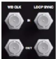 WD CLK LOCP SYNC IN OUT