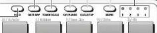 KORG Slim-line nanoPAD2 - HOLD-Taster - 1