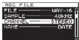 TASCAM DA-3000 - Setting the recording file format - 5
