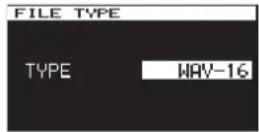 TASCAM DA-3000 - Setting the recording file format - 2