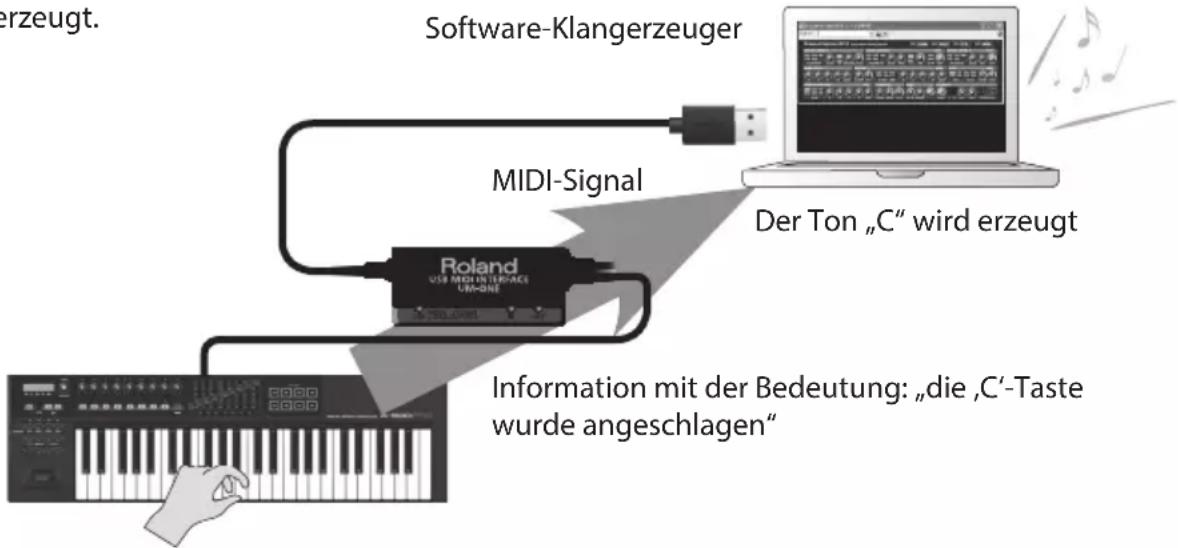 ROLAND UM-ONE mk2 - 1