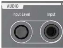 AUDIO Input Level Input