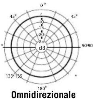 SAMSON Satellite - Informazioni sui diagrammi polari - 1