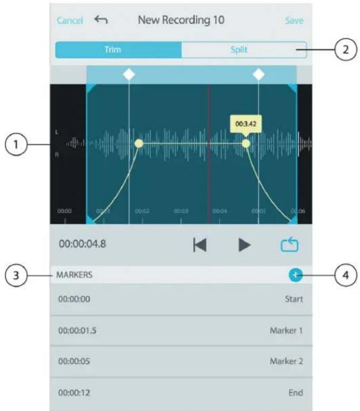 SHURE MOTIV MV88+ - Editor - 1