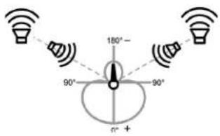 SHURE BETA 181 - Vermeiden der Abnahme unerwünschter Schallquellen - 2