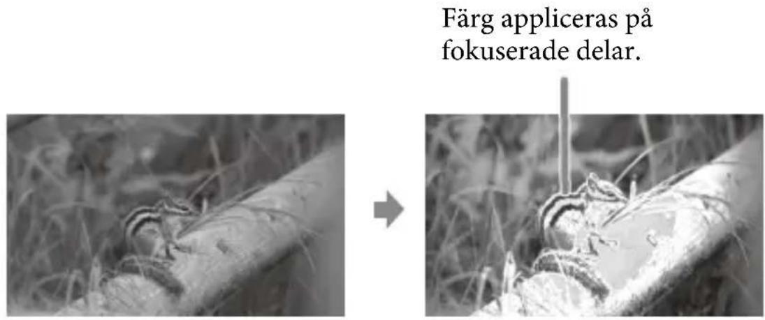 Färg appliceras på fokuserade delar.