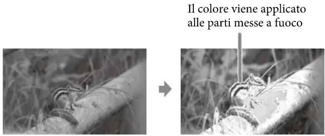 Il colore viene applicato alle parti messe a fuoco