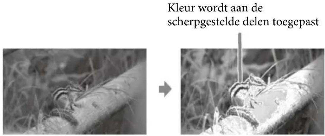 Kleur wordt aan de scherpgestelde delen toegepast