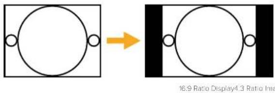 16.9 Ratio Display4.3 Ratio Inse