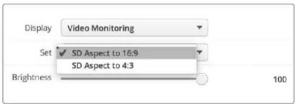 Blackmagic Design SmartView Duo - Set - 1