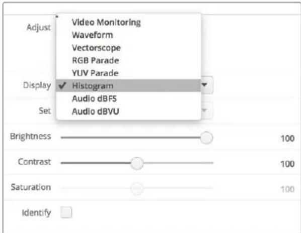 Adjust Video Monitoring Waveform Vectorscope RGB Parade YUV Parade Display ✓ Histogram Audio dBFS Audio dBVU Set Brightness 100 Contrast 100 Saturation 100 Identify □
