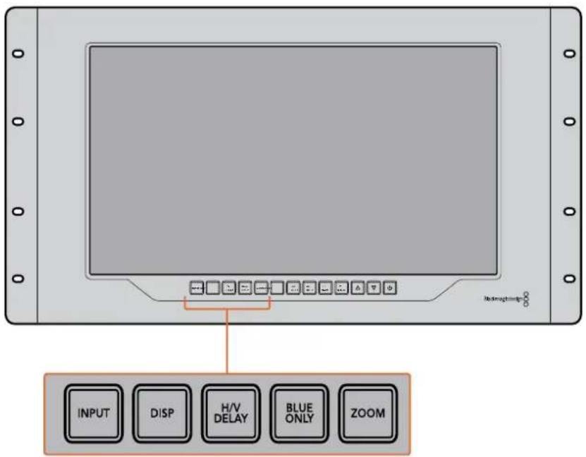 INPUT DISP H/V DELAY BLUE ONLY ZOOM