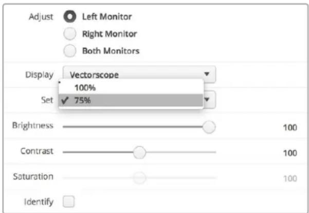 Blackmagic Design SmartView Duo - Vettorscopio - 2
