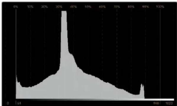 Blackmagic Design SmartView Duo - Histogram - 1