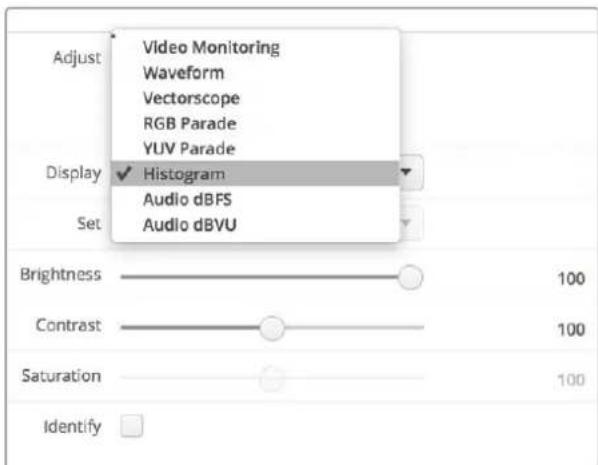 Adjust Video Monitoring Waveform Vectorscope RGB Parade YUV Parade Display ✓ Histogram Audio dBFS Audio dBVU Set Brightness 100 Contrast 100 Saturation 100 Identify □
