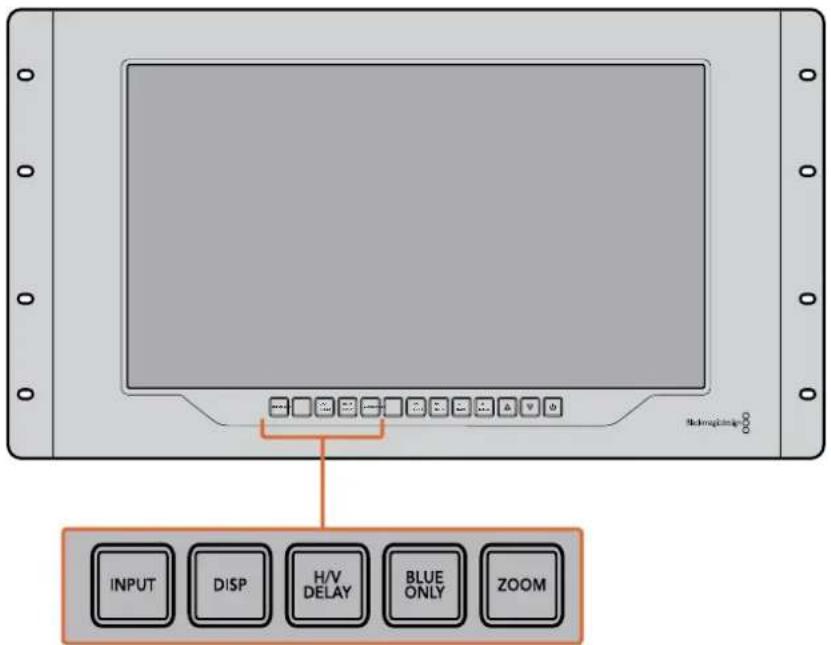 INPUT DISP H/V DELAY BLUE ONLY ZOOM