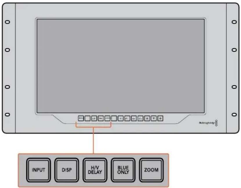 INPUT DISP H/V DELAY BLUE ONLY ZOOM