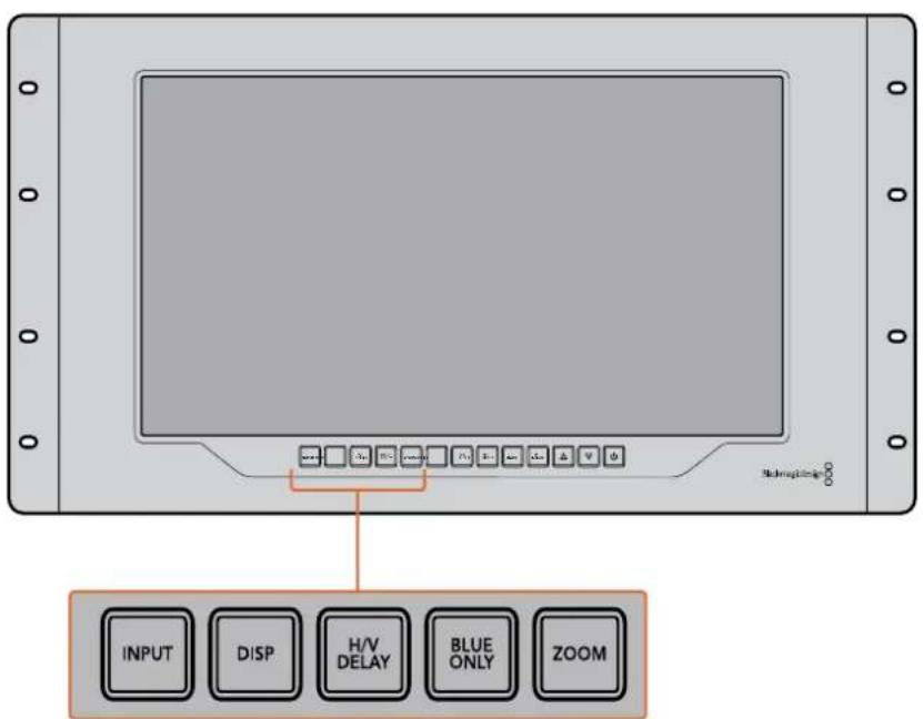 INPUT DISP H/V DELAY BLUE ONLY ZOOM