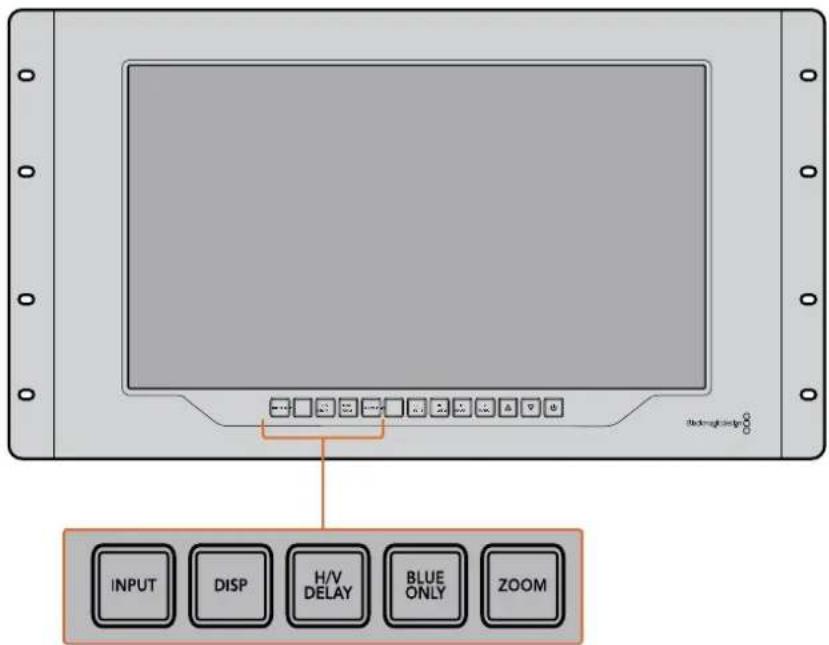 INPUT DISP H/V DELAY BLUE ONLY ZOOM