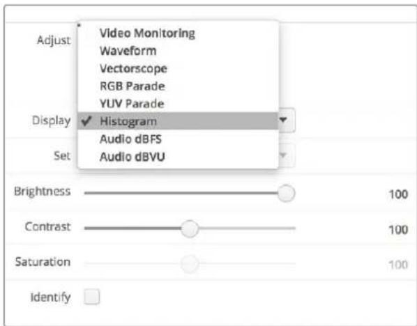 Adjust Video Monitoring Waveform Vectorscope RGB Parade YUV Parade Display ✓ Histogram Audio dBFS Audio dBVU Set Brightness 100 Contrast 100 Saturation 100 Identify □