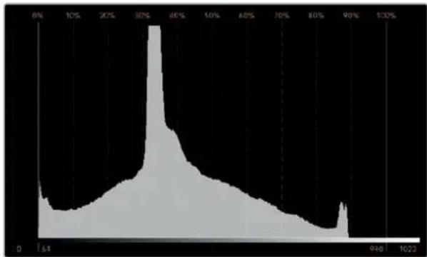 Blackmagic Design SmartView Duo - Histogramm-Anzeige - 1