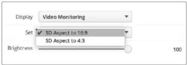 Blackmagic Design SmartView Duo - Set - 1