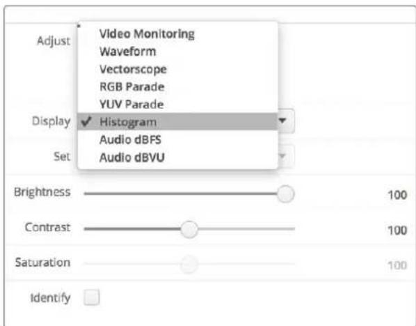 Adjust Video Monitoring Waveform Vectorscope RGB Parade YUV Parade Display ✓ Histogram Audio dBFS Audio dBVU Set Brightness 100 Contrast 100 Saturation 100 Identify