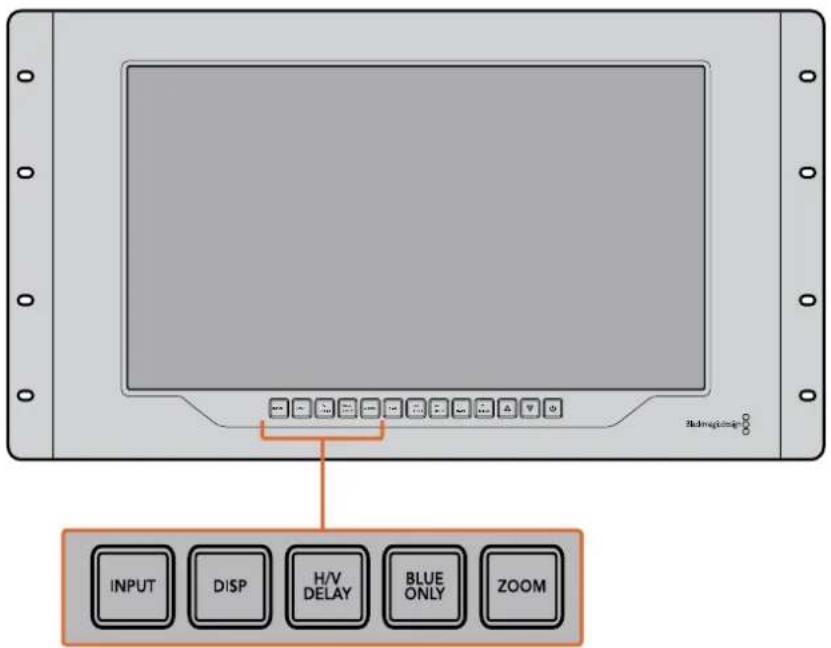 INPUT DISP H/V DELAY BLUE ONLY ZOOM