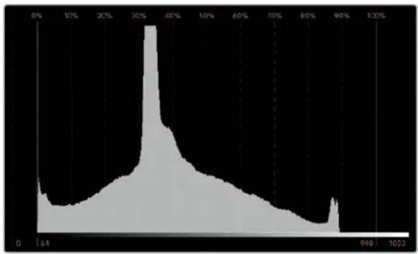 Blackmagic Design SmartView Duo - Histogram Display - 1