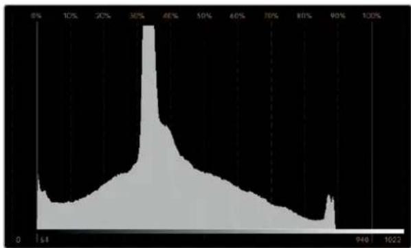 Blackmagic Design SmartView Duo - 히스토큐램(Histogram) 디스플레이 - 1